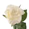 Faux Rose by Ashland®
